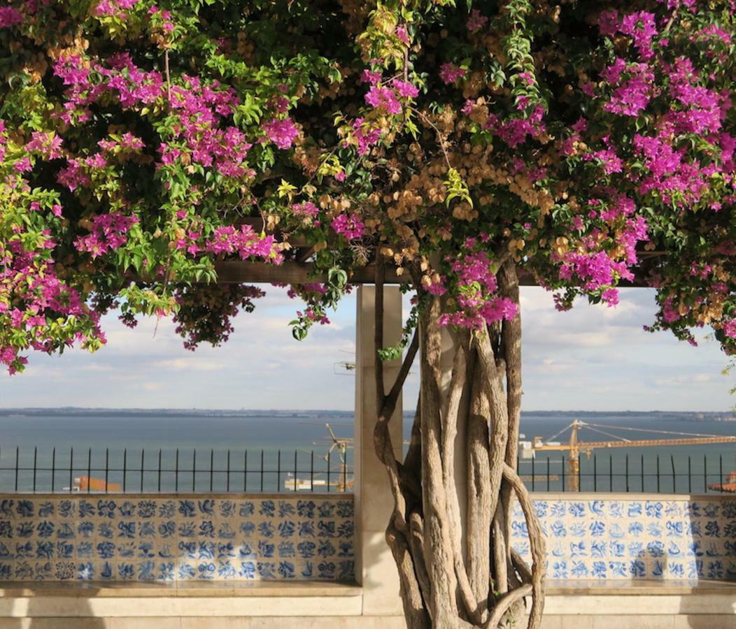 Cativos - Alfama Center District Apartamento Lisboa